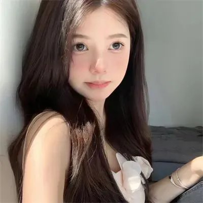 夏日之书2024